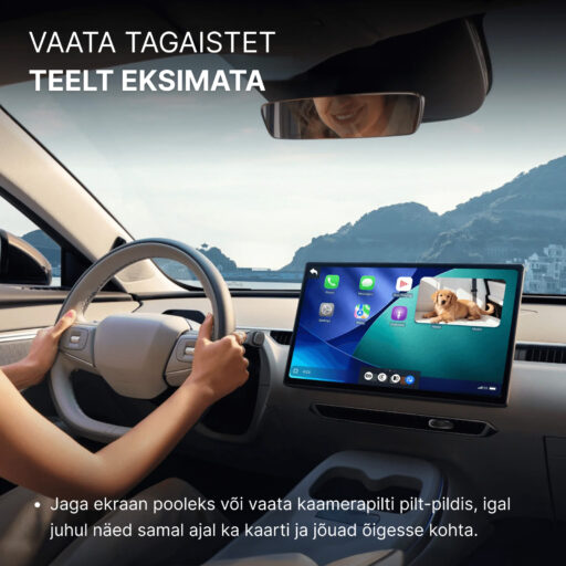 Ottocast Cabin Care tagaistme kaamera + juhtmevaba CarPlay - Image 7