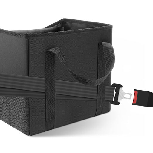 Autoistme hoiukast, kinnitatav turvavööga